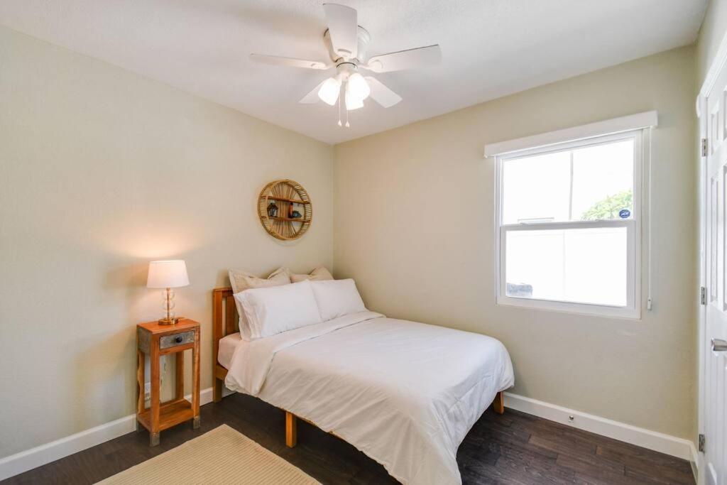 Luxury Home In The Heart Of South Tampa & Pool! Екстер'єр фото
